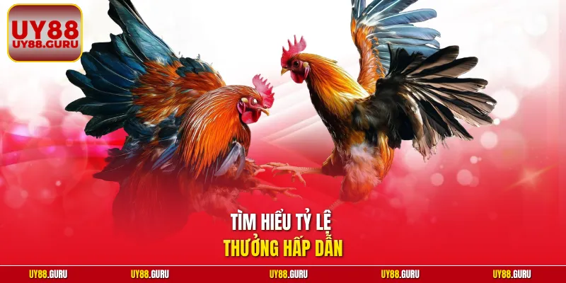 Tìm hiểu tỷ lệ thưởng hấp dẫn